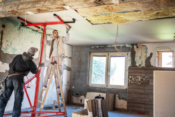 Best Cellulose Insulation in Redway, CA